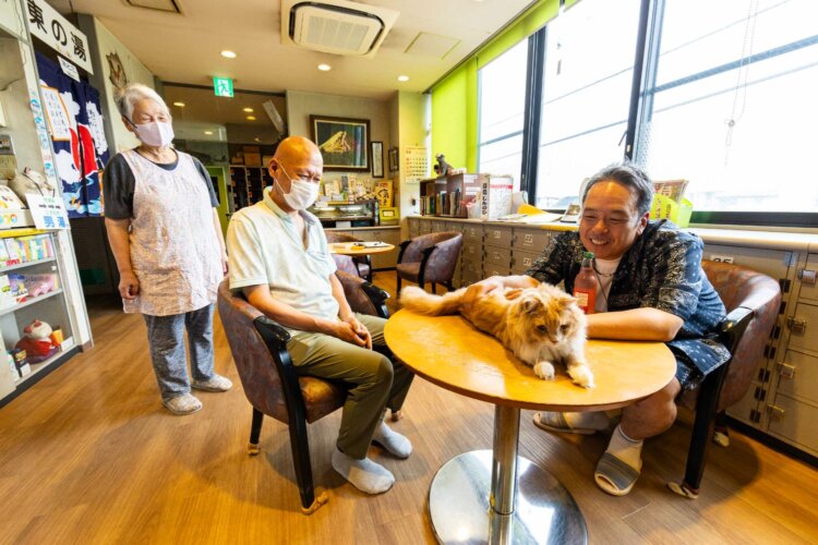 明るい待合室には看板猫のレルドくん。