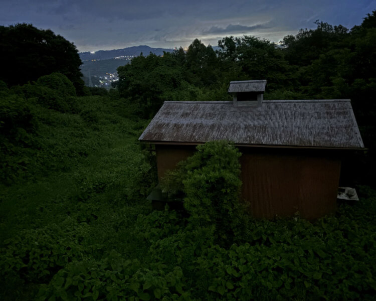 国府津駅北側の丘陵には草原と化した耕作放棄地もかなりあり、秋の虫天国。みかん小屋のたたずまいもいい。