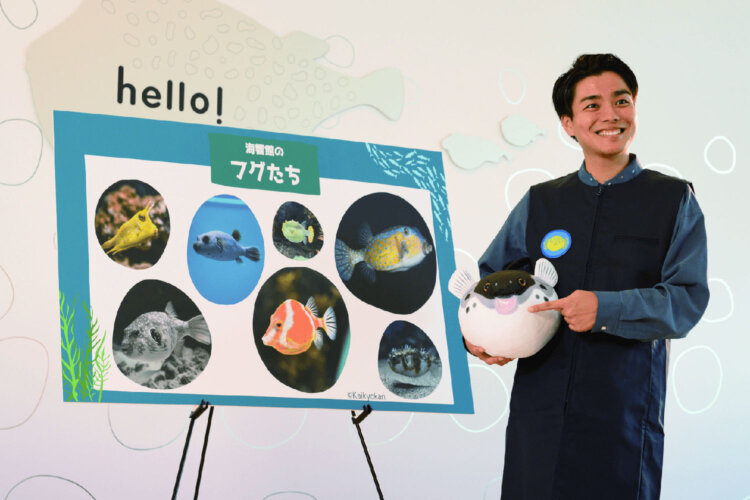 『リゾナーレ下関』では毎晩、『海響館』の見どころを教えてくれる無料講座があり、宿泊客は自由に参加できる。