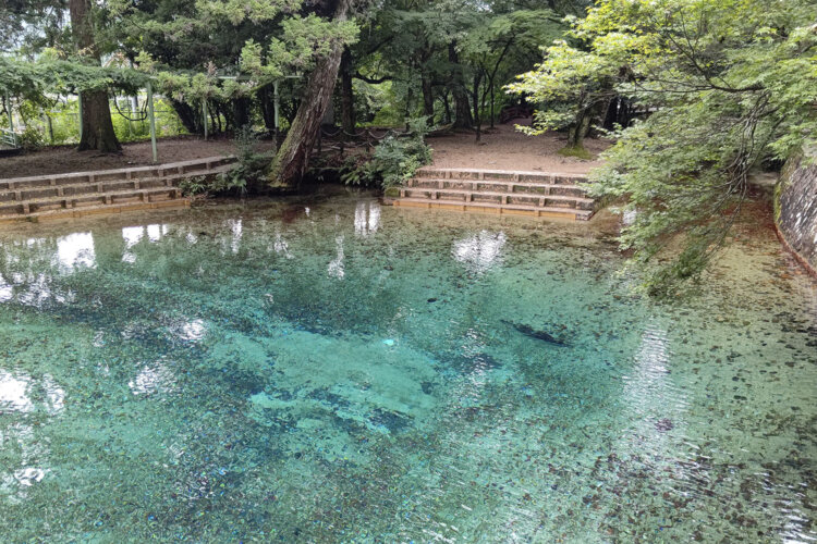 水がきれいだからなのか実感は湧かなかったが、水深は約5mと意外と深い。