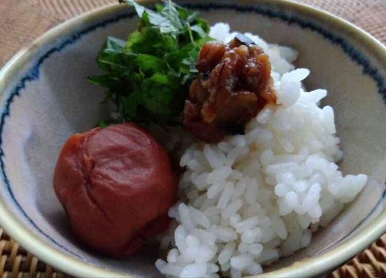ごはんのおとも【なめみそ】