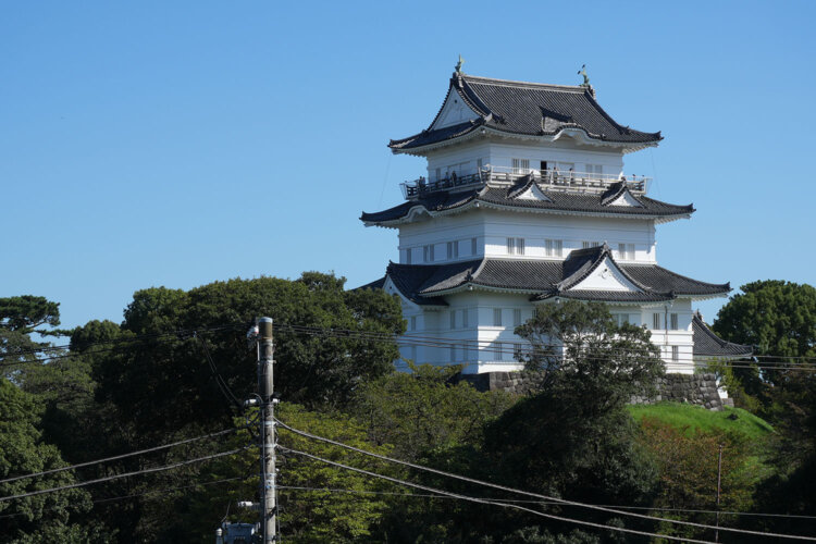 八幡山古郭東曲輪の上に登れば、小田原城天守が同じ視線上に見られる。