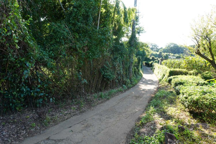 道は丘陵地帯の尾根上に延びていて、とても快適な散歩が楽しめる。