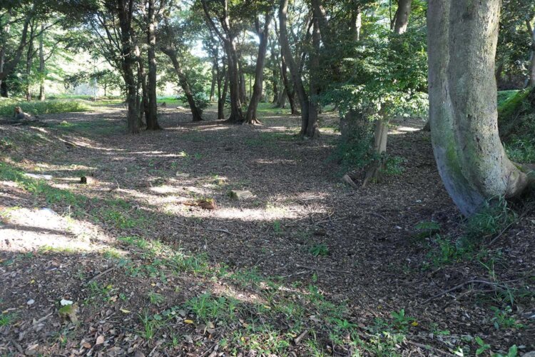 小峯御鐘ノ台大堀切西堀の手前側は埋められてしまったが、北端で遺構が見られる。