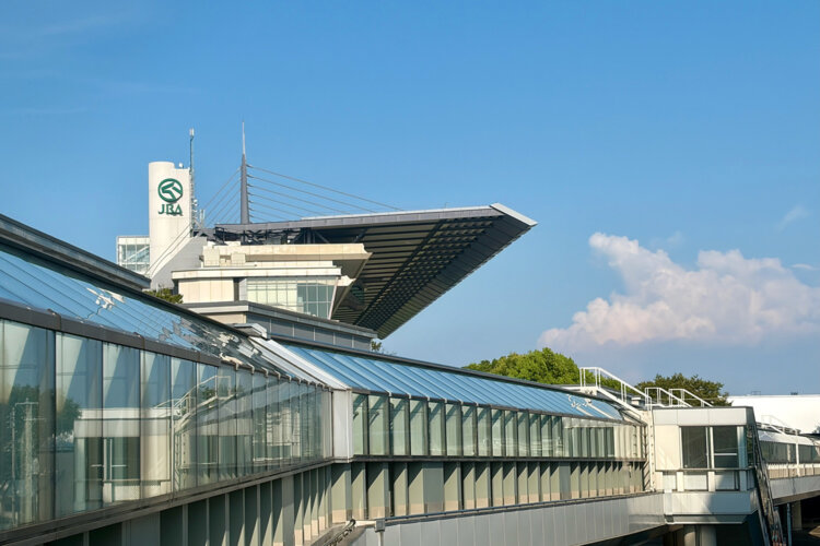 日本最大規模を誇る東京競馬場のスタンドに……。