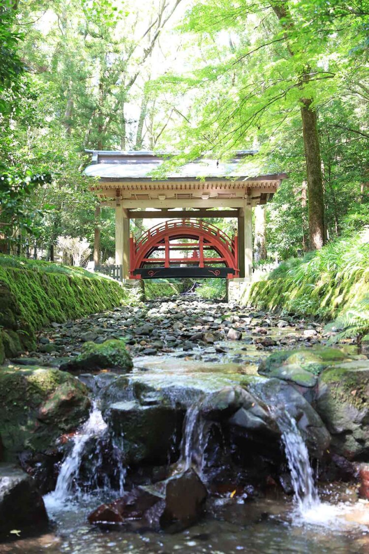 彌彦神社の神様がお渡りになる玉の橋。