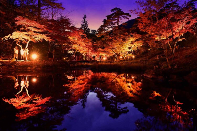 弥彦公園のもみじ谷は、東屋横の池から望む逆さもみじが見事（写真＝弥彦観光協会）。