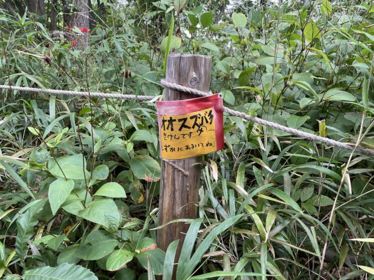 「オオスズメバチきけんです」。
