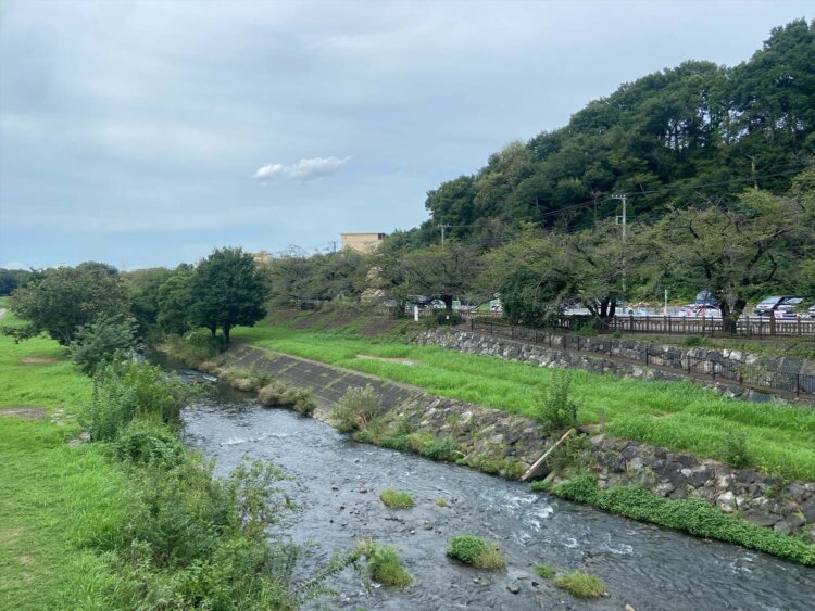 柳瀬川。