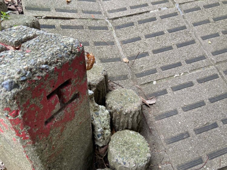 「工」の字が刻まれた旧国鉄の境界杭に蝉の抜け殻が。