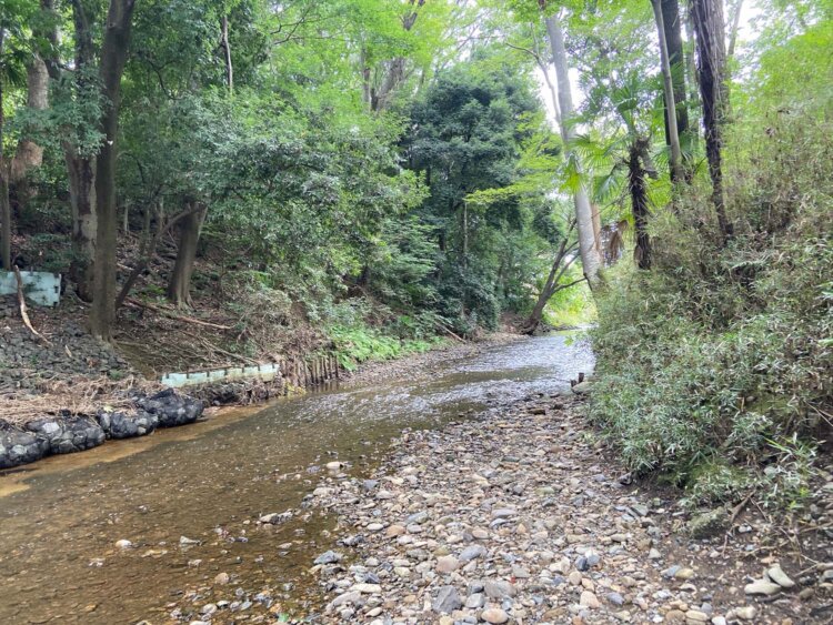柳瀬川。
