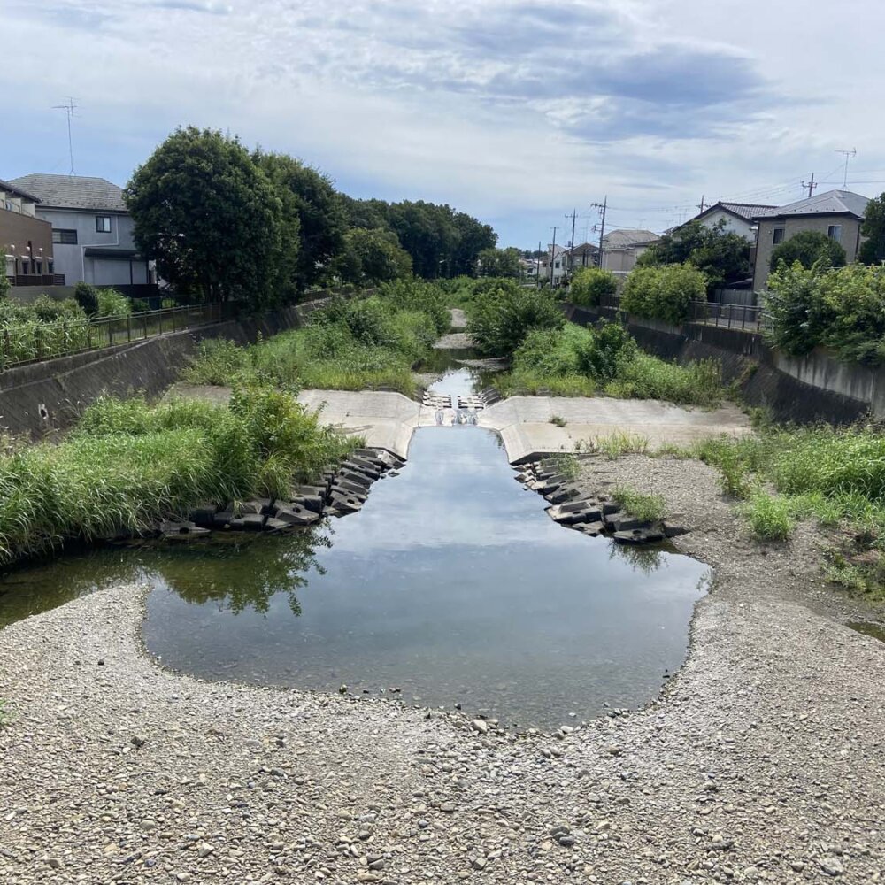 清瀬・東村山の水辺の風景。谷口ジローゆかりの地から空堀川、狭山湖までを巡る【「水と歩く」を歩く】