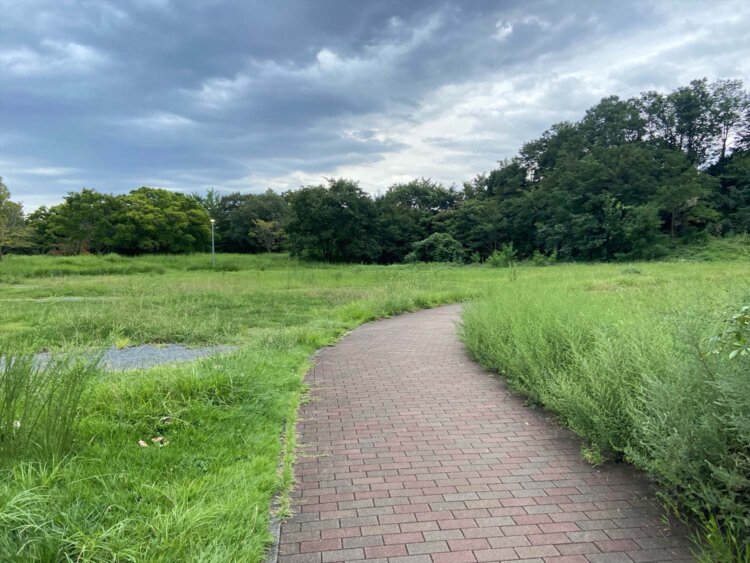 芝生の間の歩道を進む。