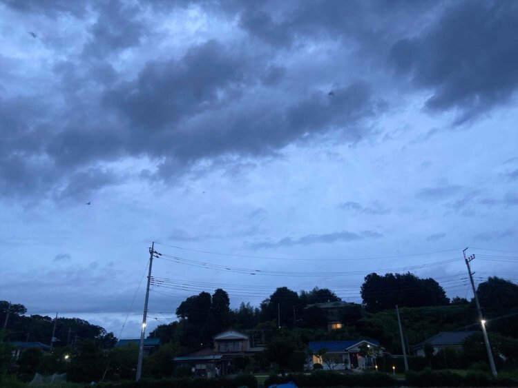 写真では少しわかりづらいけど、コウモリの黒い影。