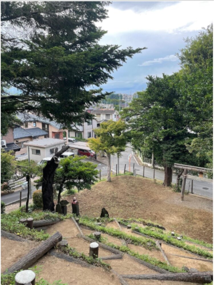 中里の富士塚から下を見下ろす。