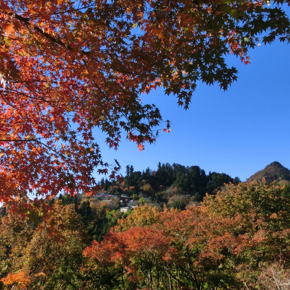 【温泉ハイキング】御岳山・日の出山＋つるつる温泉｜ここは東京？ 山岳信仰の山と天空の里へ