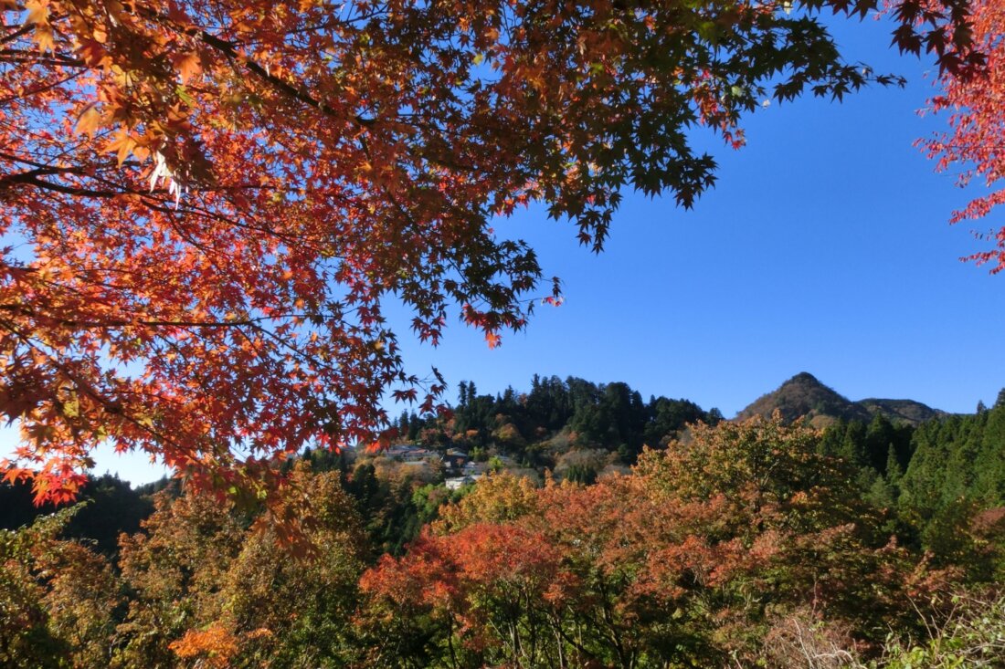 【温泉ハイキング】御岳山・日の出山＋つるつる温泉｜ここは東京？ 山岳信仰の山と天空の里へ