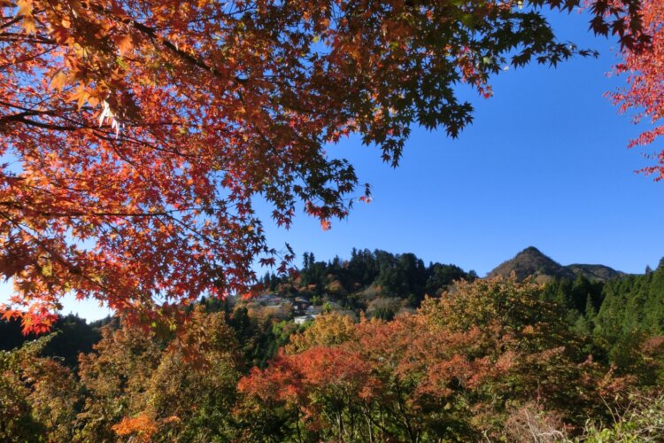 御岳山駅から武蔵御嶽神社へ向かえば、天空の里が姿を現す。ここは“東京のマチュピチュ”？　紅葉の見頃は10月下旬～11月中旬（写真＝御岳ビジターセンター）。