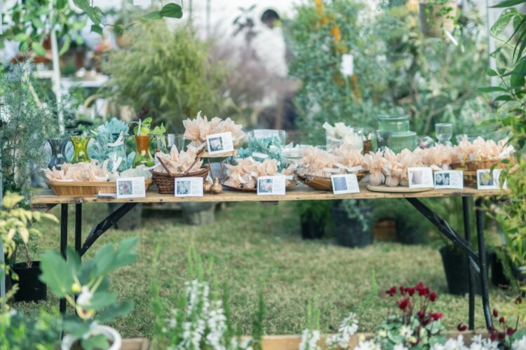 季節の花や観葉植物、ドライフラワー、多肉植物などが並ぶ「花マルシェ」。