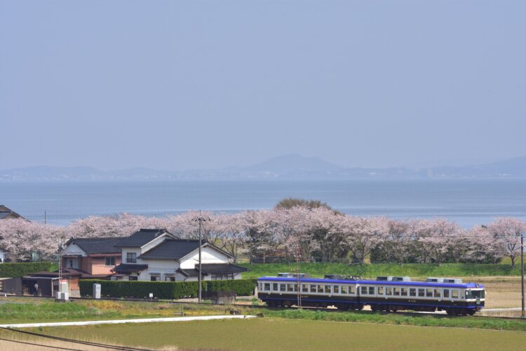 宍道湖のきらめきと桜に包まれる春の風景。一畑電車の湖遊館新駅～園間（写真＝一畑電車）。
