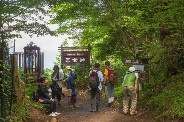 スタート後50分ほどで乙女峠に着いたら、そのあとは稜線上の木々に包まれて歩く。