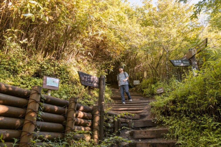 途中の分岐では、間違えないよう右に折れて公時神社方面へ。