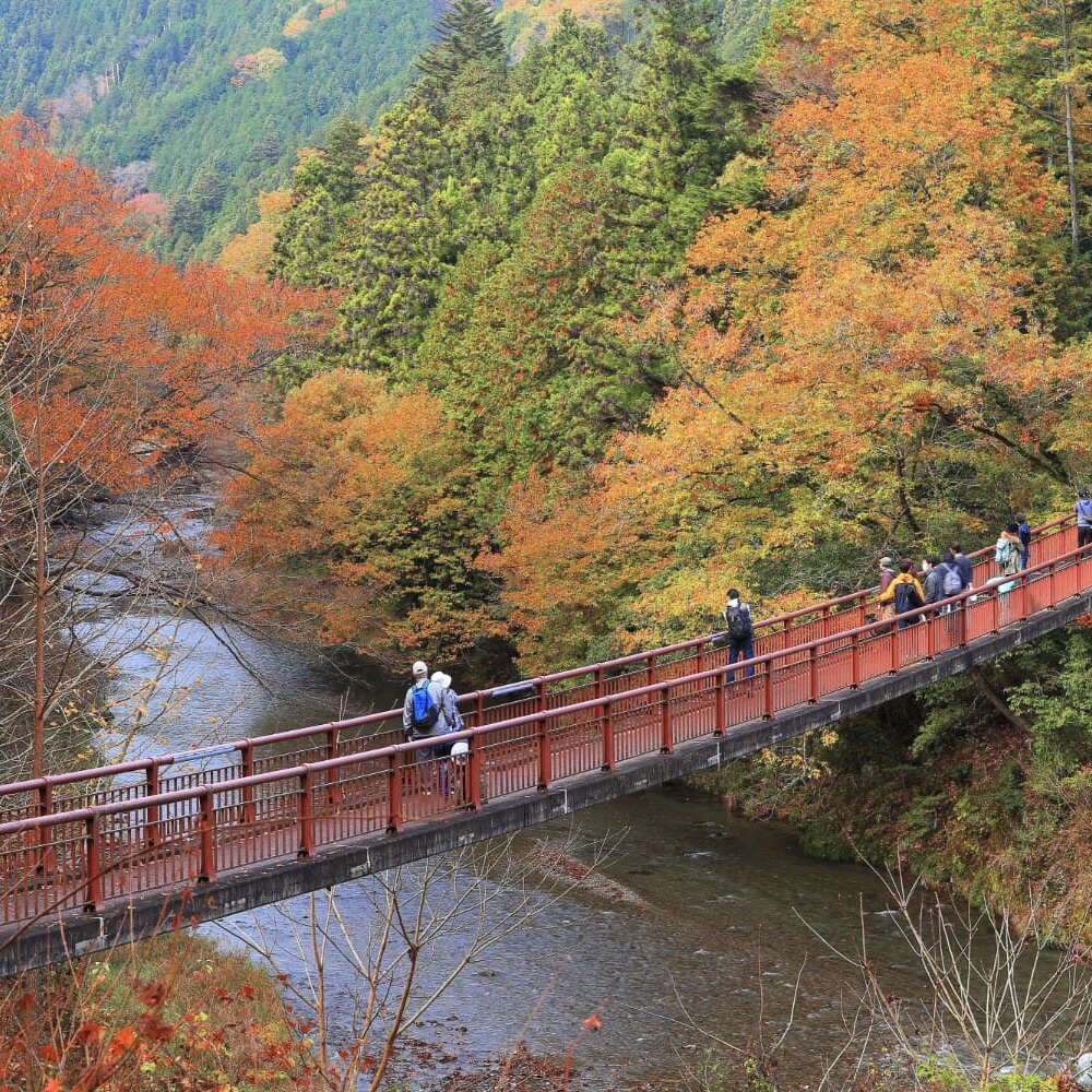 【温泉ハイキング】秋川渓谷＋瀬音の湯｜舗装路ハイクでゆく手軽な“東京の秘境”