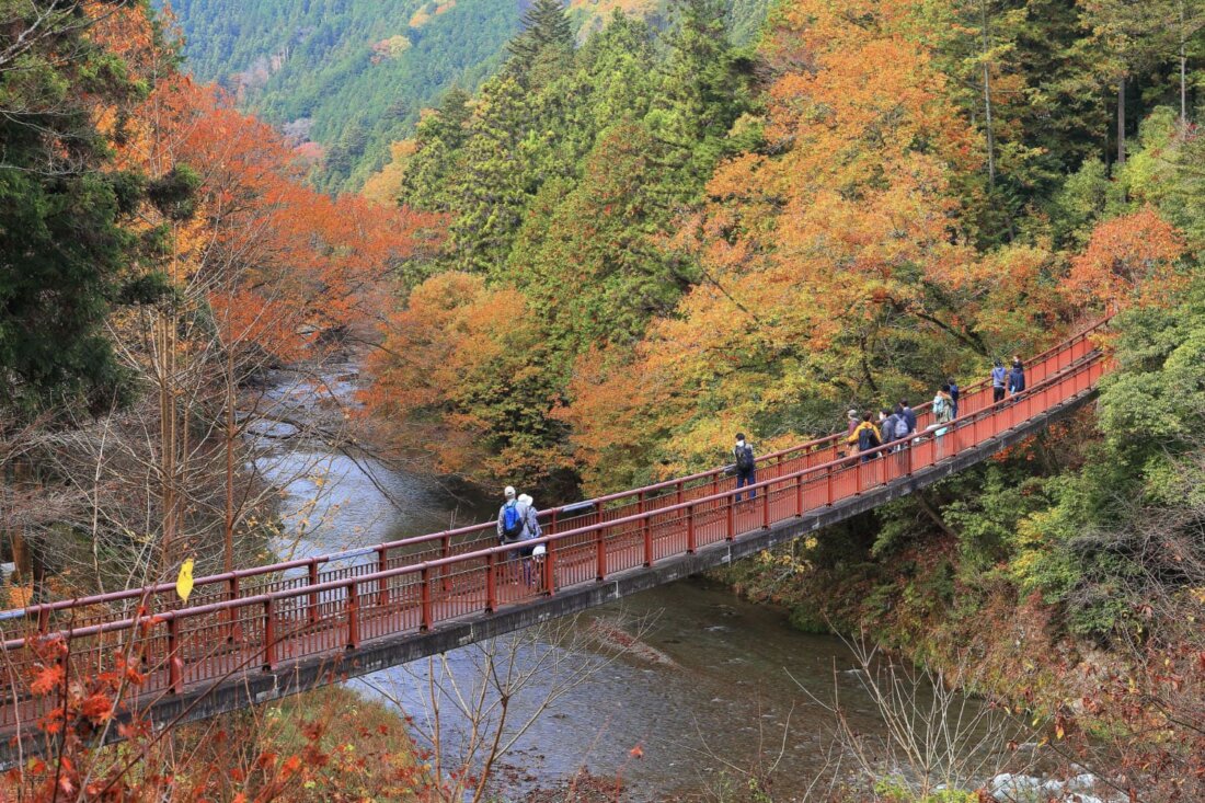 【温泉ハイキング】秋川渓谷＋瀬音の湯｜舗装路ハイクでゆく手軽な“東京の秘境”