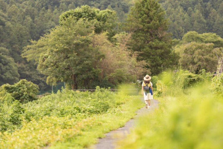 あゆみ橋から「小庄の桜並木」にかけての小道も散策気分を盛り上げる。
