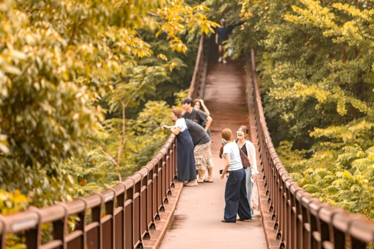 吊り橋を渡ったら、ゴールの温泉はすぐ！