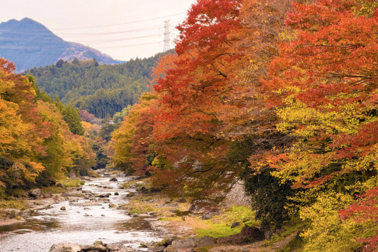 岩瀬峡（写真＝あきる野市観光協会）。