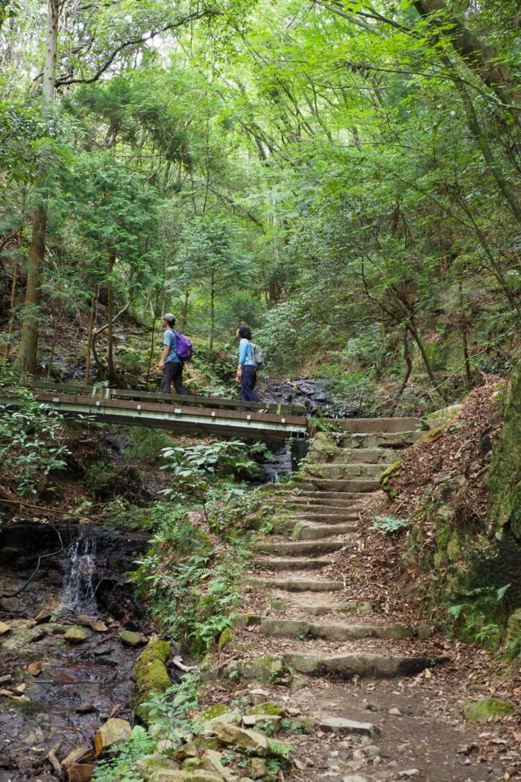 青谷川を何度か渡り、山頂を目指す。