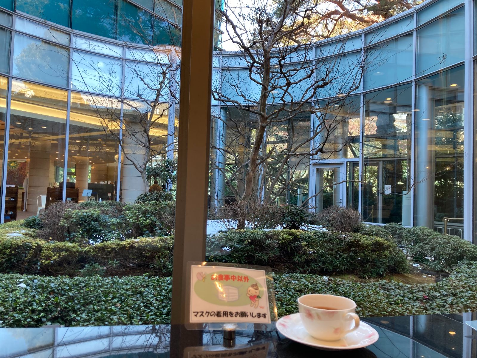 中庭に向かってのんびり。世田谷文学館の「喫茶どんぐり」｜さんたつ by 散歩の達人