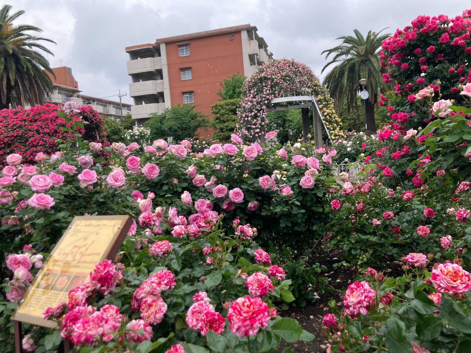青和ばら公園と人の名前みたいな青井駅