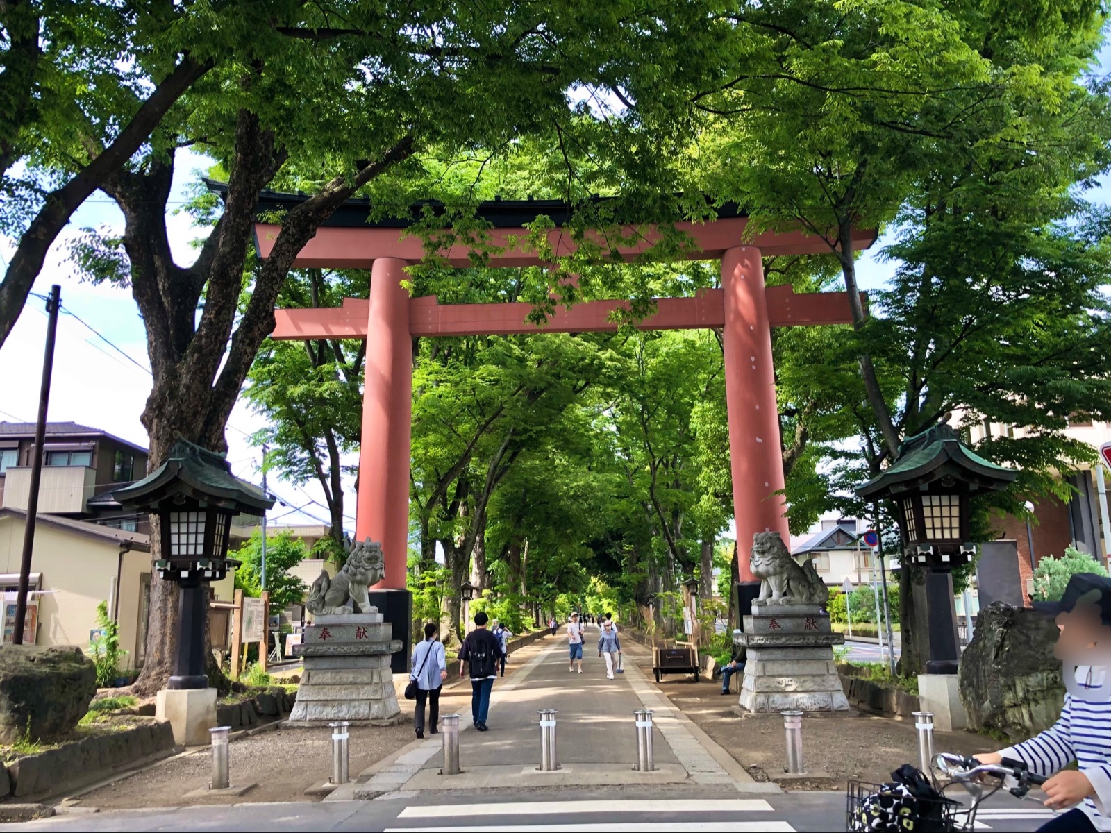 日本一長い『氷川参道』、緑と暮らしとビルが混在する2キロのトンネル