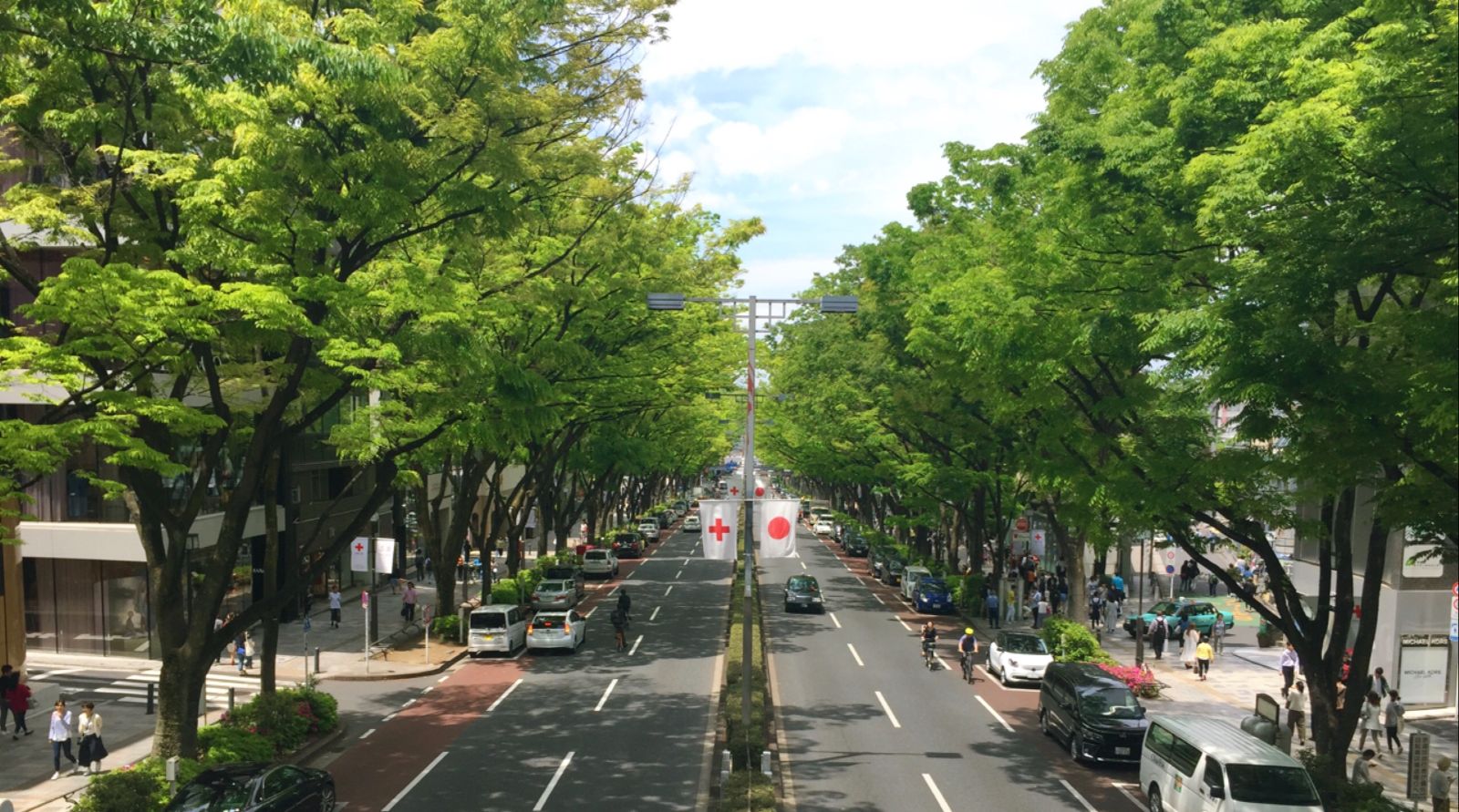 【表参道】5月！新緑のきれいな時期にぜひ行きたい！！　私の大好きはやっぱりここ。