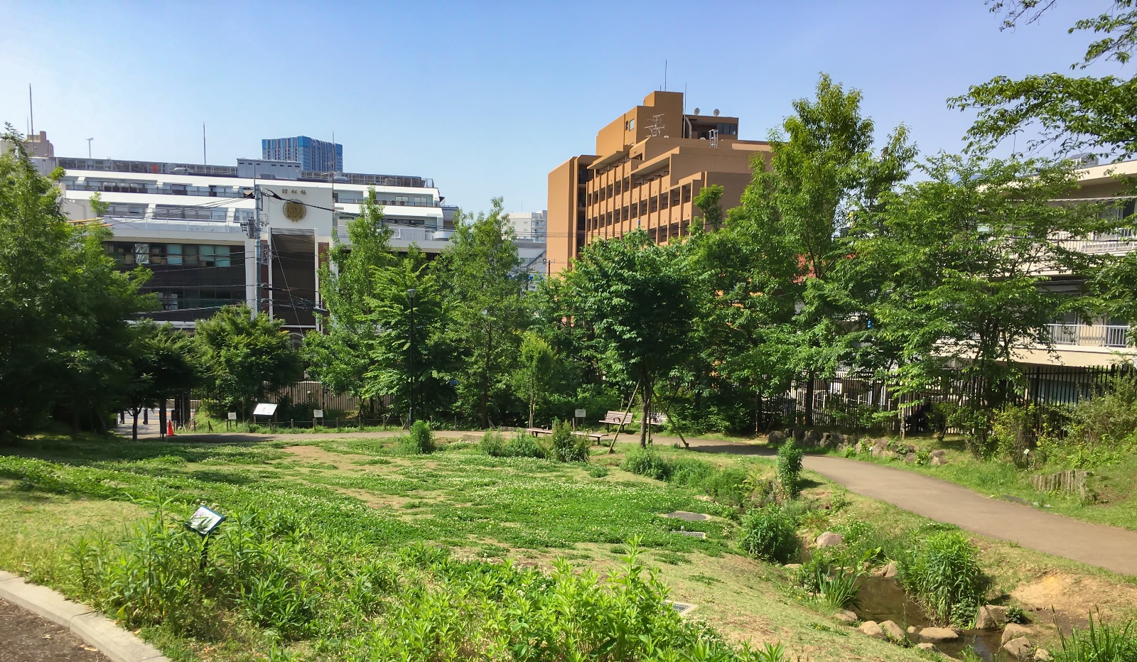 「おとめ山公園」でゆったり朝散歩
