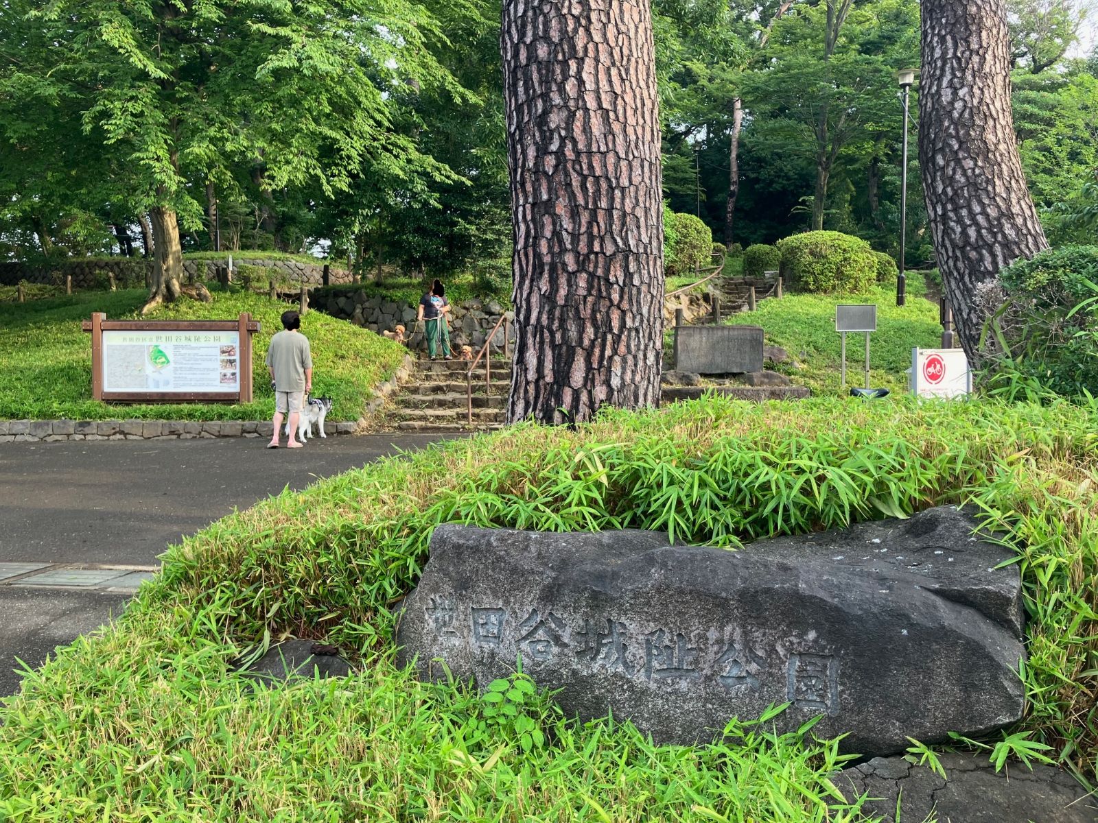 ひっそりと世田谷の住宅地に佇む「世田谷城址公園」　夏には昆虫採集の子どもたちにも人気！